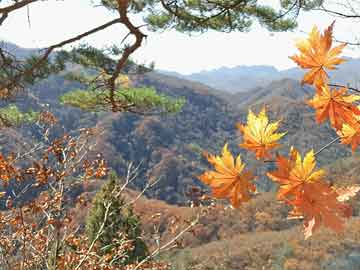 探秘翁江河，實時水位圖帶你領(lǐng)略美景，追尋內(nèi)心平靜的奇妙旅程（2024年12月9日更新）