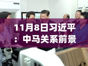 11月8日習近平：中馬關系前景光明 未來可期，11月8日習近平主席談中馬關系，未來光明，前景可期