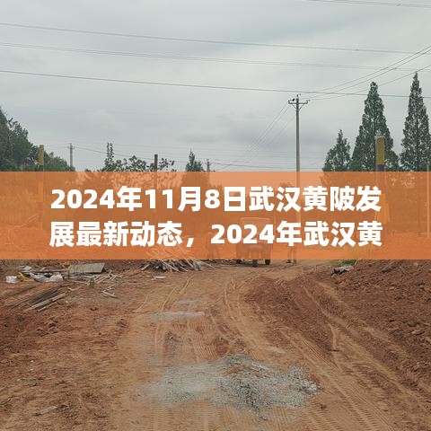 2024年武漢黃陂發(fā)展最新動態(tài)探索，融入?yún)^(qū)域發(fā)展大潮的步伐