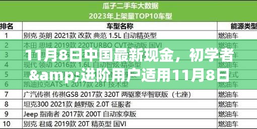 初學(xué)者與進階用戶指南，11月8日中國最新現(xiàn)金操作指南及任務(wù)完成步驟詳解