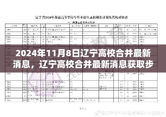 遼寧高校合并最新消息獲取指南，初學者與進階用戶適用，2024年高校合并最新動態(tài)揭秘