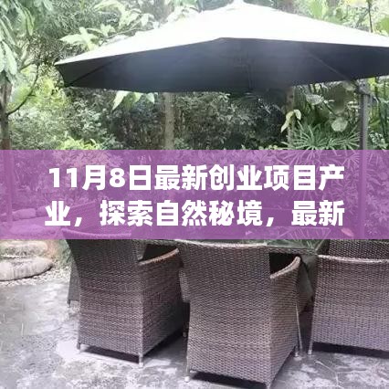 最新創(chuàng)業(yè)項目引領心靈之旅，探索自然秘境的奇妙旅程啟動！