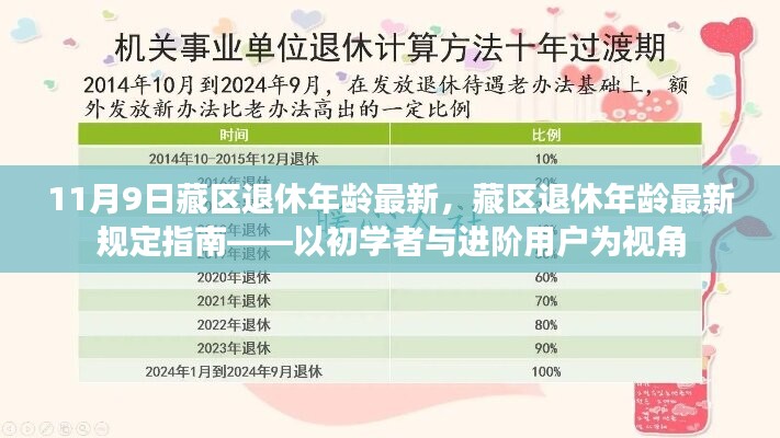 藏區(qū)退休年齡最新規(guī)定指南，從初學(xué)者到進階用戶的視角解析（11月9日更新）