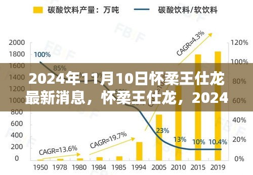 懷柔王仕龍最新動態(tài)與深遠影響力揭曉，2024年11月10日更新