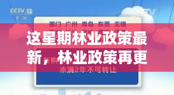 林業(yè)政策最新動向，本周更新及其時代影響力分析