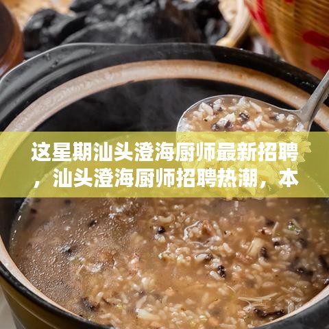 汕頭澄海廚師招聘熱潮揭秘，本周最新動態(tài)與影響