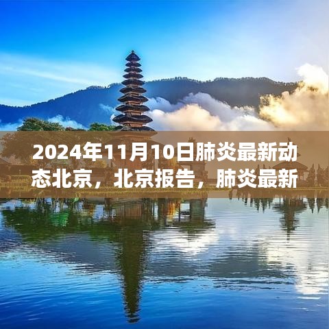 北京肺炎最新動態(tài)深度觀察，報告與影響，2024年11月10日最新進展