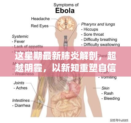 超越陰霾，最新肺炎解剖啟示錄，重塑信心與新知的探索