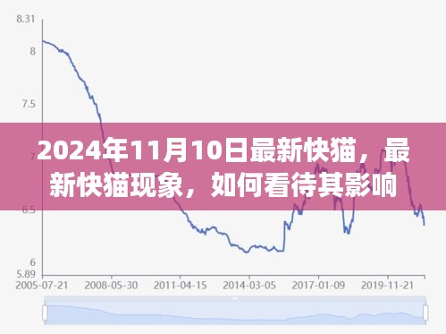 最新快貓現(xiàn)象，影響與未來發(fā)展觀察（2024年觀察點）