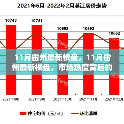 市場熱度背后的深度解讀與個(gè)人立場，11月雷州最新樓盤觀察