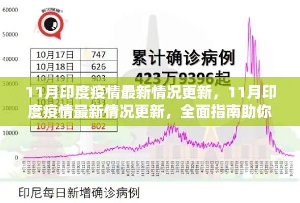 全面指南，了解并應(yīng)對(duì)印度疫情最新情況更新