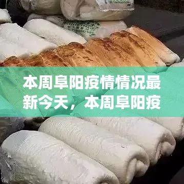 本周阜陽(yáng)疫情最新動(dòng)態(tài)，今日疫情分析、防控成效與多方觀點(diǎn)聚焦