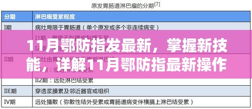 11月鄂防指最新操作流程步驟指南，掌握新技能的詳解