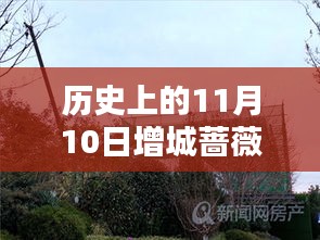 歷史上的11月10日增城薔薇國(guó)際房?jī)r(jià)揭秘，最新價(jià)格一覽表！