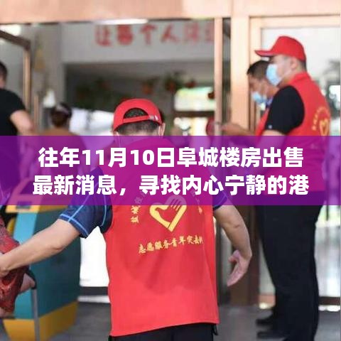 阜城樓房最新出售消息，尋找心靈寧靜的自然探索之旅