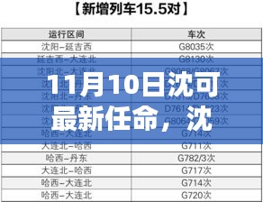 沈可新任命的背后，背景、影響與時(shí)代地位分析（最新更新）