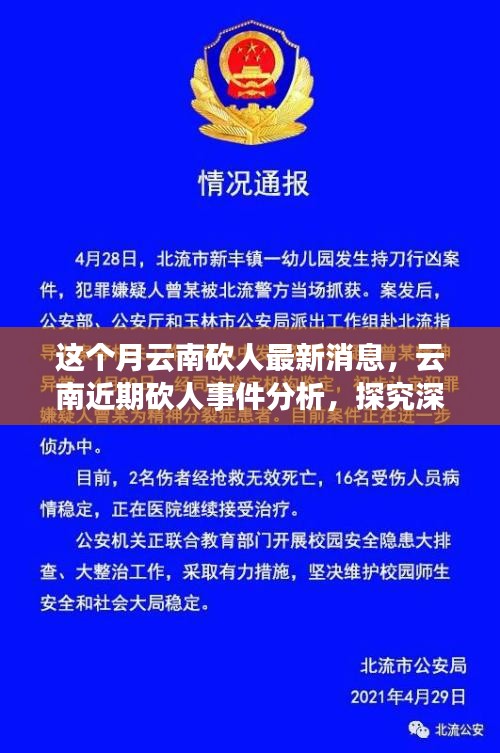 云南砍人事件最新消息，深層原因探究與各方觀點(diǎn)分析