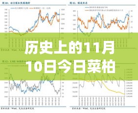 歷史上的11月10日，菜柏價(jià)格背后的勵(lì)志故事與最新行情，自信成就感的源泉