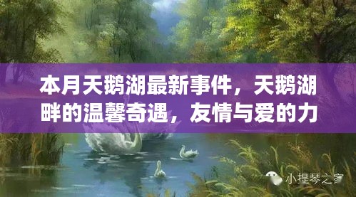 本月天鵝湖畔的溫馨奇遇，友情與愛的力量的展現(xiàn)