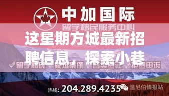 方城最新招聘信息揭秘，小巷秘境與獨特小店之旅