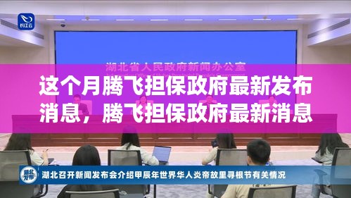 騰飛擔(dān)保政府最新消息解讀與操作指南，初學(xué)者與進(jìn)階用戶必讀指南