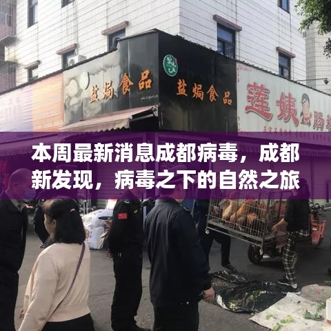 成都病毒新發(fā)現(xiàn)，自然之旅中的心靈港灣探尋