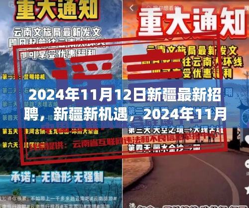 新疆新機遇，2024年招聘啟程，技能成就未來夢想