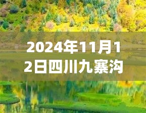 2024年11月12日四川九寨溝最新情況，自然恢復(fù)與旅游新篇章開啟