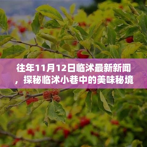 探秘臨沭小巷美味秘境，11月12日臨沭最新新聞中的隱藏美食店揭秘