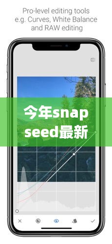 Snapseed最新版下載，回顧發(fā)展歷程，時代印記下的影響與地位