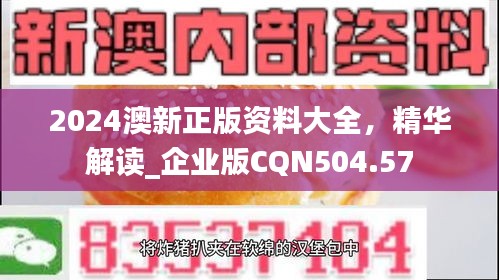 2024澳新正版資料大全，精華解讀_企業(yè)版CQN504.57