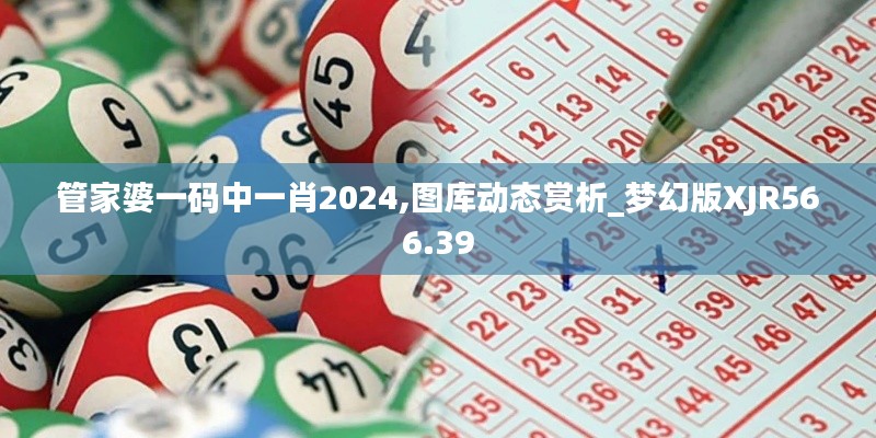 管家婆一碼中一肖2024,圖庫動態(tài)賞析_夢幻版XJR566.39