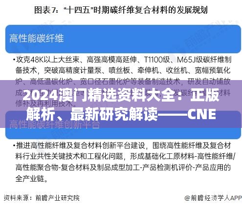 2024澳門精選資料大全：正版解析、最新研究解讀——CNE350.58可變版