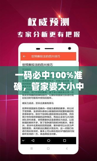 一碼必中100%準確，管家婆大小中特解析，戶外版ZNA113.77深度剖析