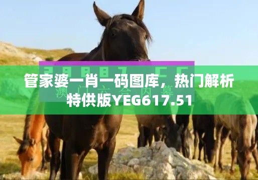 管家婆一肖一碼圖庫，熱門解析特供版YEG617.51