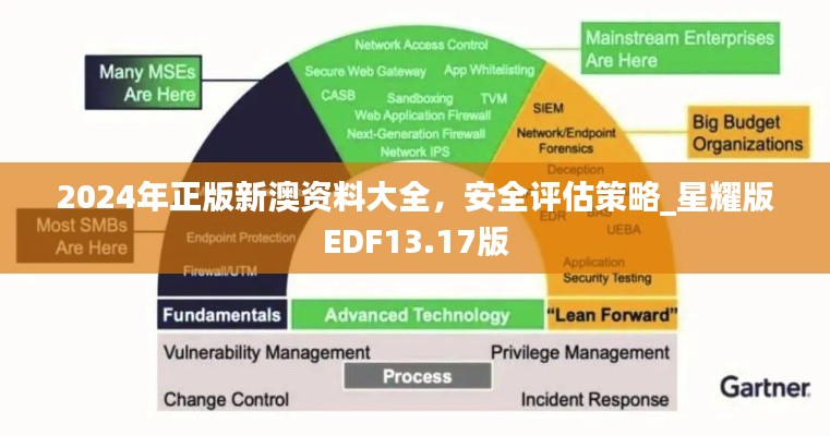 2024年正版新澳資料大全，安全評估策略_星耀版EDF13.17版