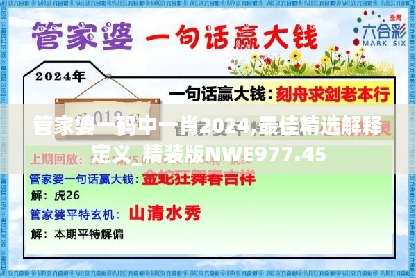 管家婆一碼中一肖2024,最佳精選解釋定義_精裝版NWE977.45