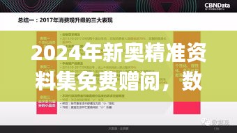 2024年新奧精準(zhǔn)資料集免費(fèi)贈閱，數(shù)據(jù)解讀詳盡_授權(quán)版ARV587.79