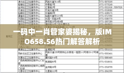 一碼中一肖管家婆揭秘，版IMO658.56熱門解答解析