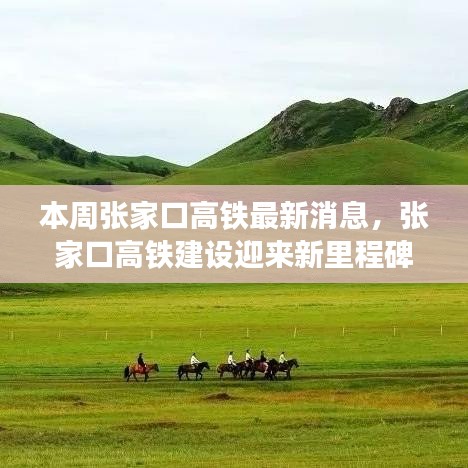 張家口高鐵建設迎新里程碑，本周動態(tài)一覽無余