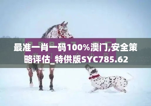 最準一肖一碼100%澳門,安全策略評估_特供版SYC785.62