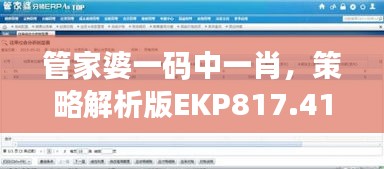 管家婆一碼中一肖，策略解析版EKP817.41測試版