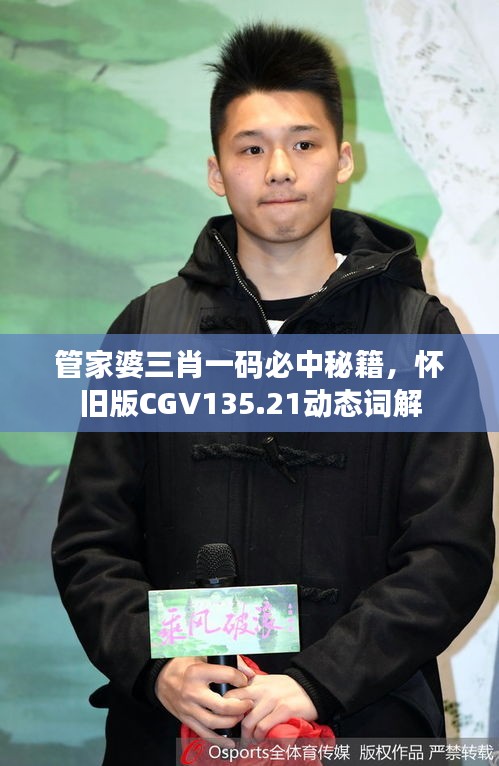 管家婆三肖一碼必中秘籍，懷舊版CGV135.21動態(tài)詞解