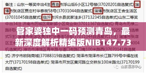 管家婆獨(dú)中一碼預(yù)測(cè)青島，最新深度解析精編版NIB147.73