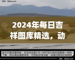 2024年每日吉祥圖庫精選，動態(tài)解讀_SXR232.69遺憾缺席