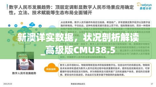 新澳詳實數(shù)據(jù)，狀況剖析解讀_高級版CMU38.5