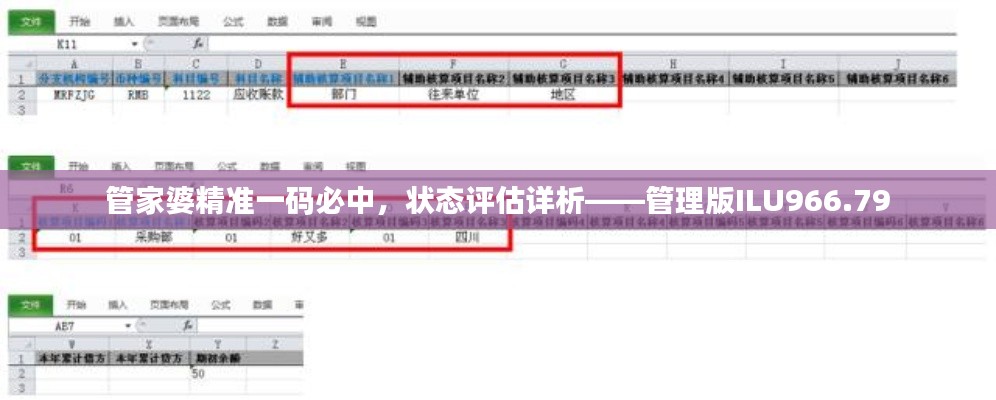 管家婆精準(zhǔn)一碼必中，狀態(tài)評估詳析——管理版ILU966.79