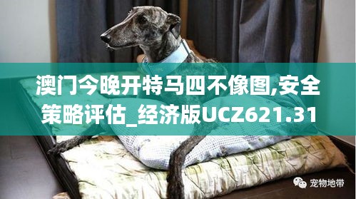 澳門今晚開特馬四不像圖,安全策略評(píng)估_經(jīng)濟(jì)版UCZ621.31