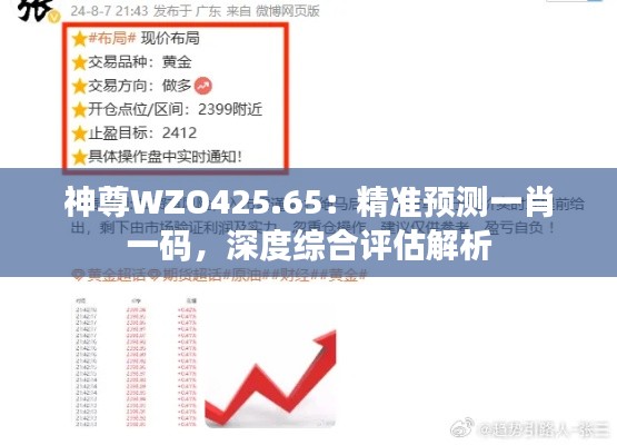 神尊WZO425.65：精準(zhǔn)預(yù)測一肖一碼，深度綜合評估解析