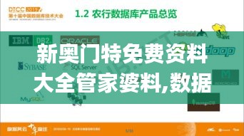 新奧門(mén)特免費(fèi)資料大全管家婆料,數(shù)據(jù)資料解釋落實(shí)_夢(mèng)幻版OJX730.28